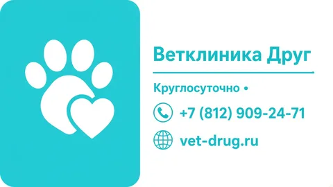 Шаблон визитки: Ветклиника